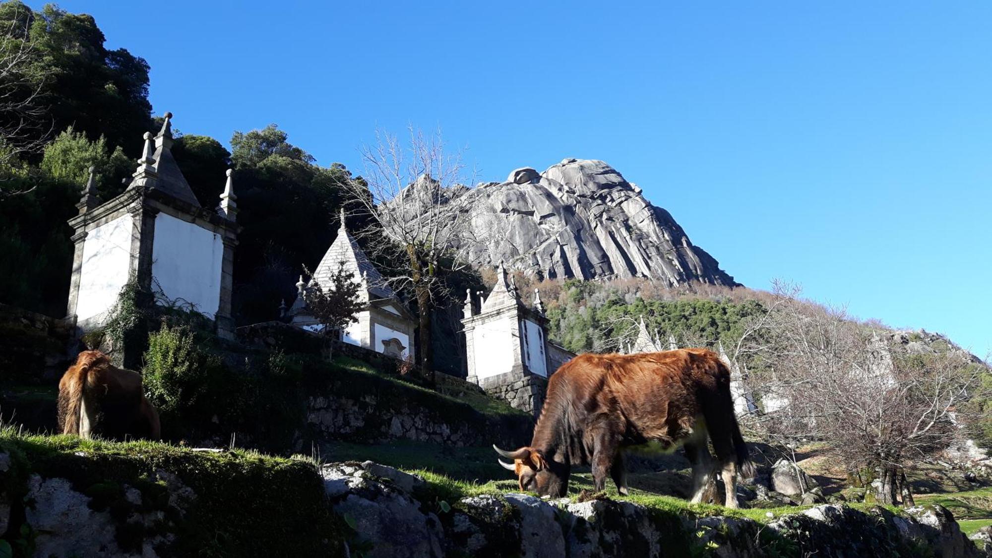 Penedino Mountain Cottage Arcos de Valdevez Kültér fotó